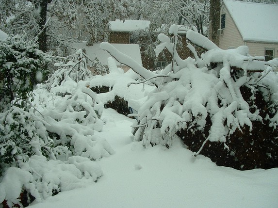 DSCF0022