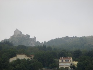 IMG 0231