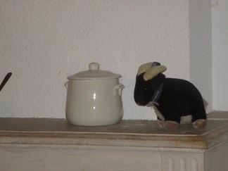 IMG 0248
