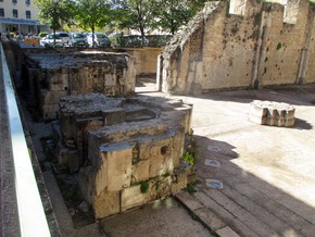 IMG 0281